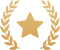 award icon